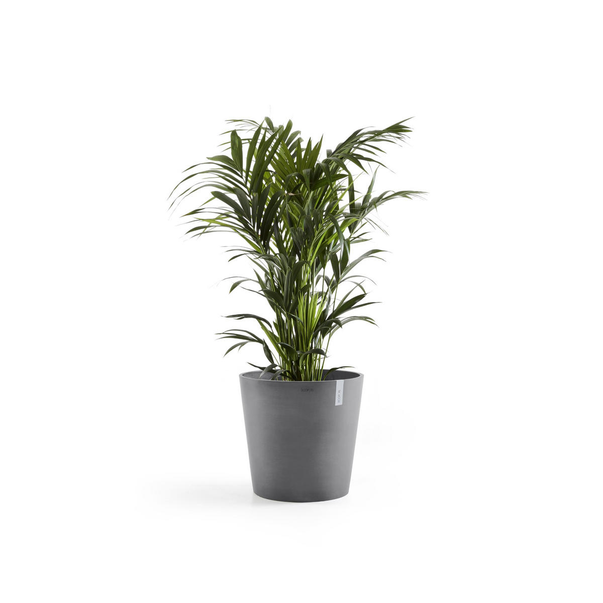 BLUMENTOPF Amsterdam 59/55,5 cm Grau - Grau, Kunststoff (59/55.5cm) - Ecopots