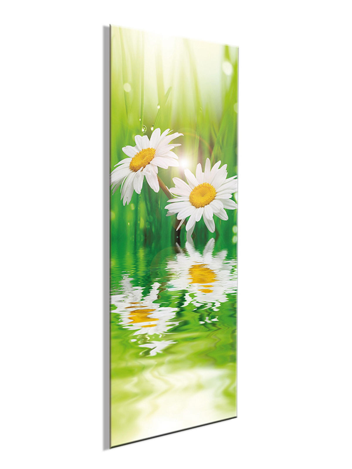 GLASBILD 30x80 cm Blumen - Gelb, Glas (30/80cm) - artissimo