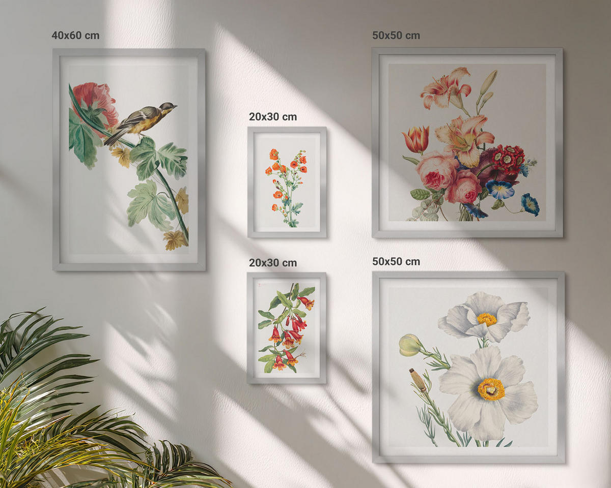 BILDER SET 5er Set - 50x50 cm & 20x30 cm & 40x60 cm Silberner Rahmen - Gemalte Blumen, Retro-Vogel - Silberfarben, Kunststoff (40/60cm) - TULUP