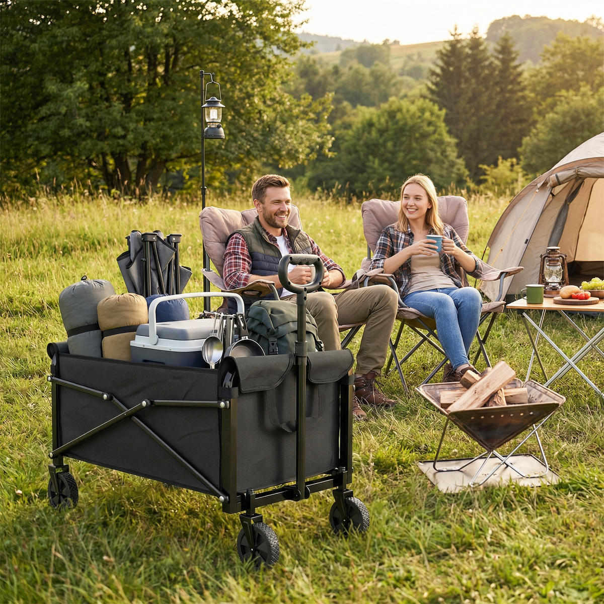 GARTENWAGEN DE-10544 Schwarz - Schwarz, Metall (47.5/92/78cm) - ComfortXL