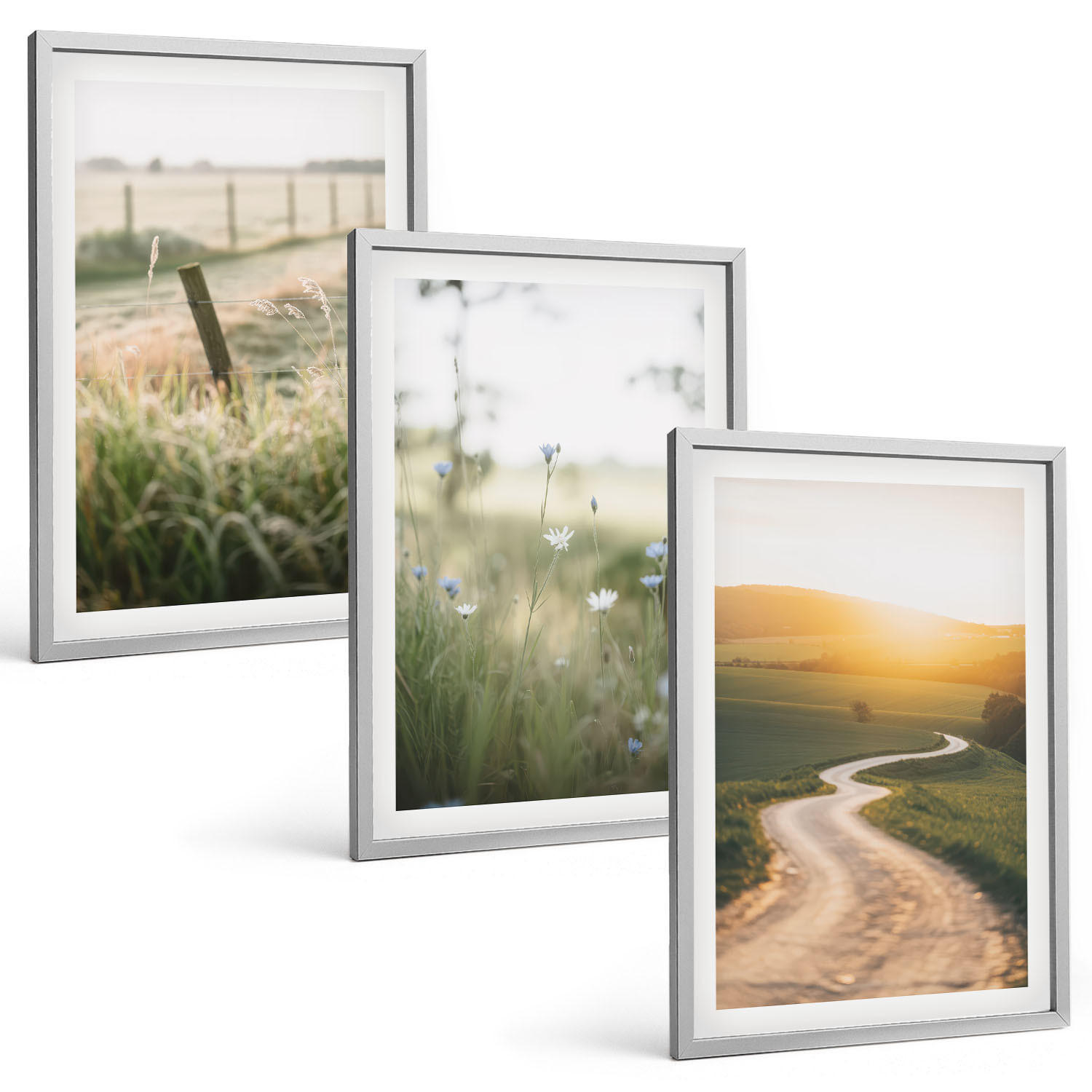 BILDER SET 3er Set - 40x60 cm Silberner Rahmen - Landschaftswiesenstraße West - Silberfarben, Kunststoff (40/60cm) - TULUP