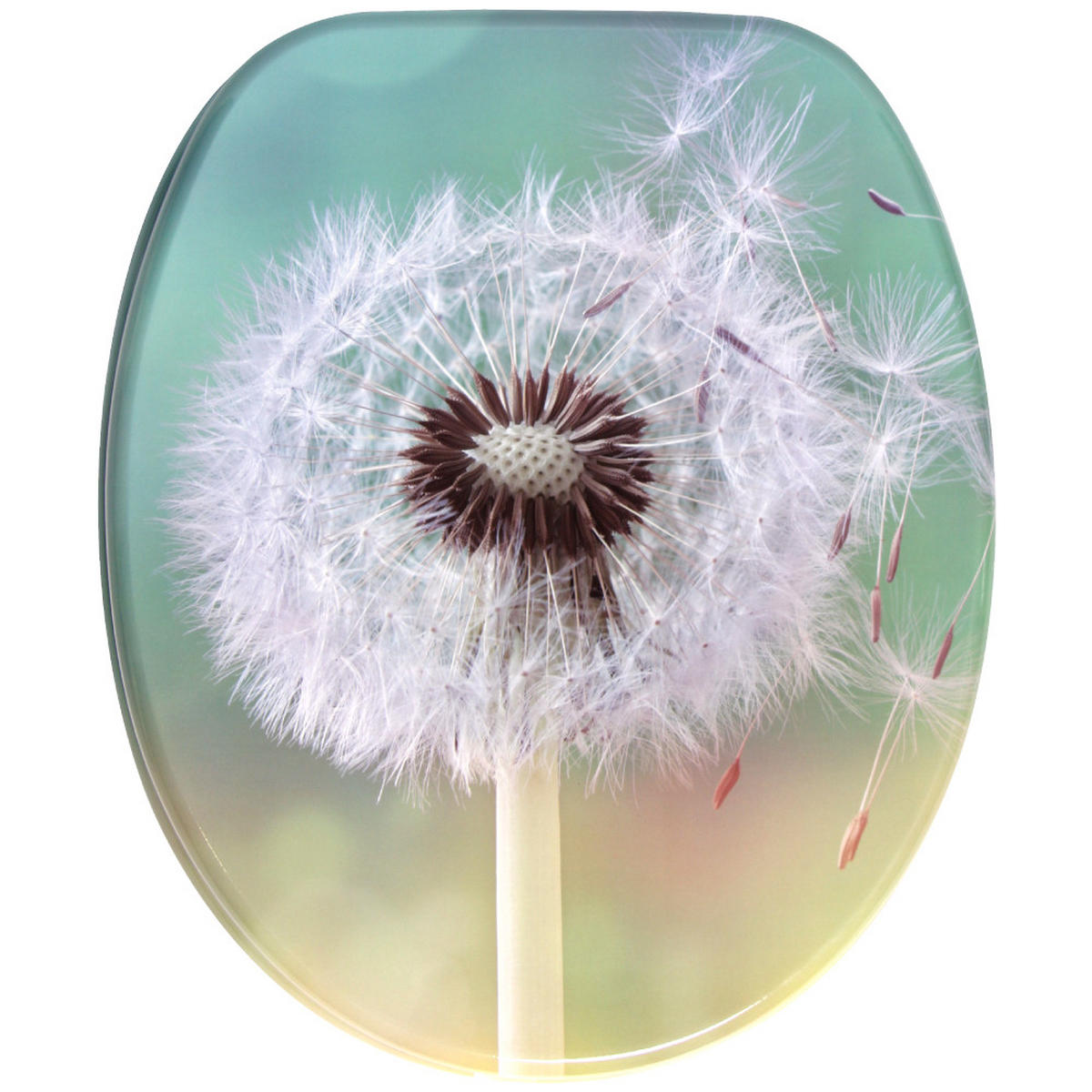 WC-SITZ mit Absenkautomatik Pusteblume - Türkis, Holzwerkstoff (38/6/47cm) - Sanilo