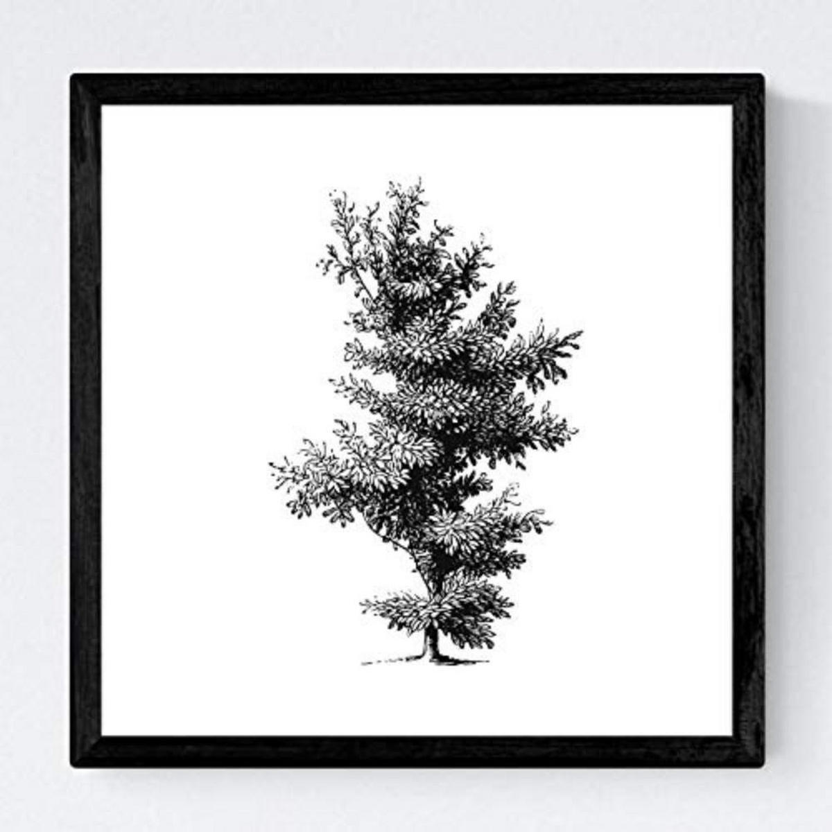 POSTER Set mit 4 Bädern Bäume variierten weißer Hintergrund 20x20cm Rahmenlos - Klar, Papier (20/3cm) - Nacnic