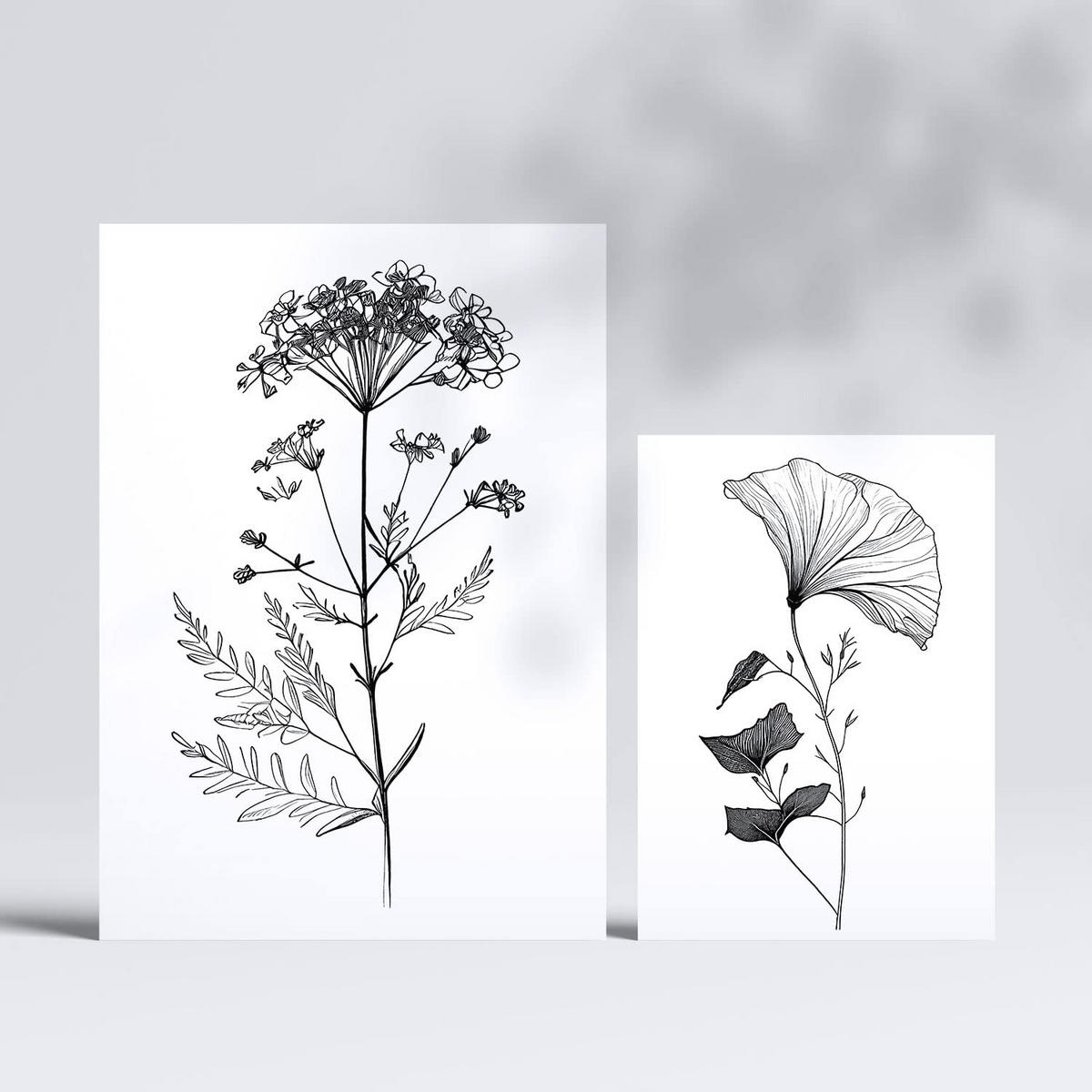 POSTER Set Mit 6 Blühende Blumen Blumenmotiven In Klassischem Schwarz Und Weiß A3 & A4 Rahmenlos - Klar, Papier (29/3cm) - Nacnic