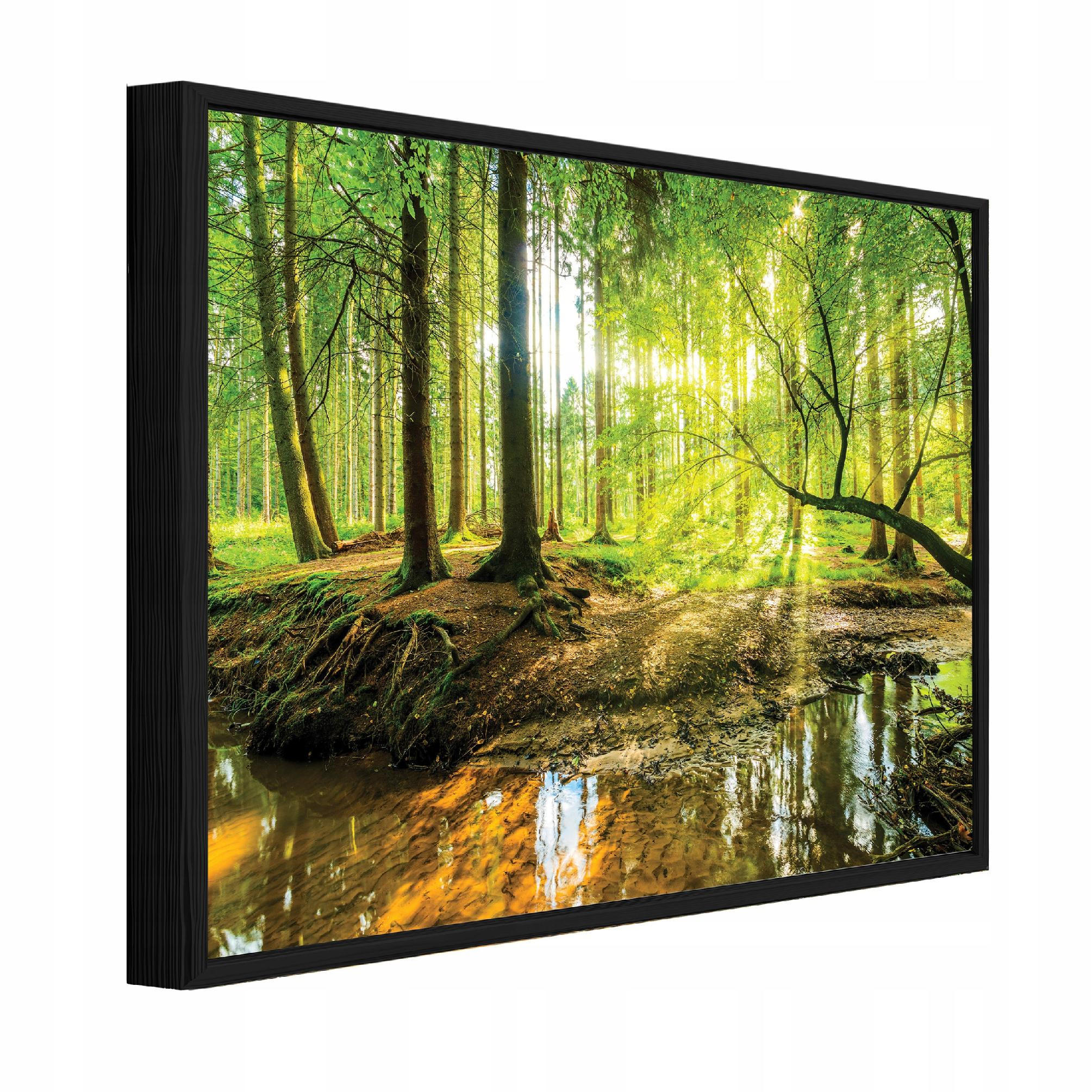 Wallarena ZARÁMOVANÉ obrazy les stromy zelená 120x80 cm