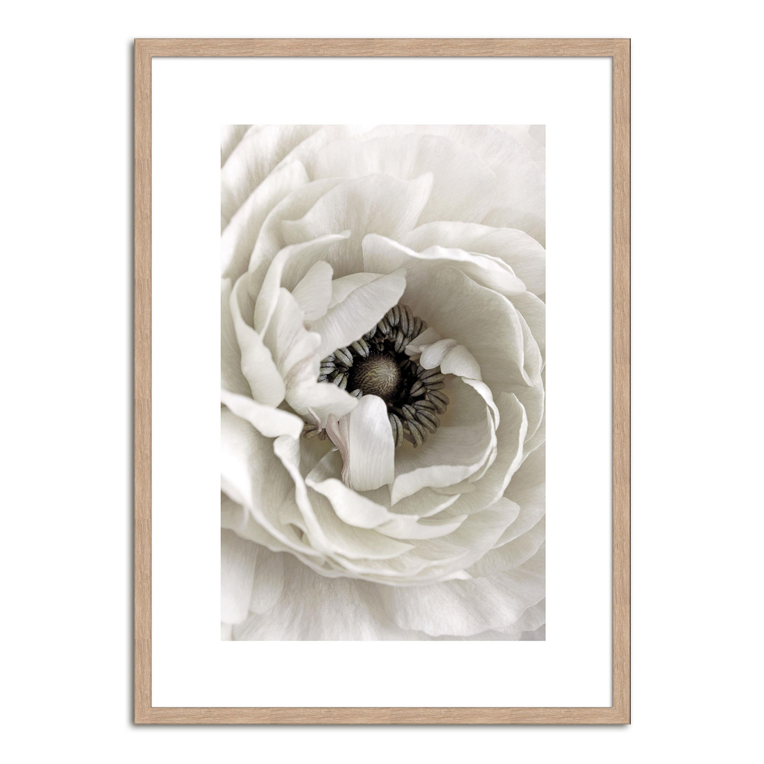 artissimo Poster Beige 51x71 cm