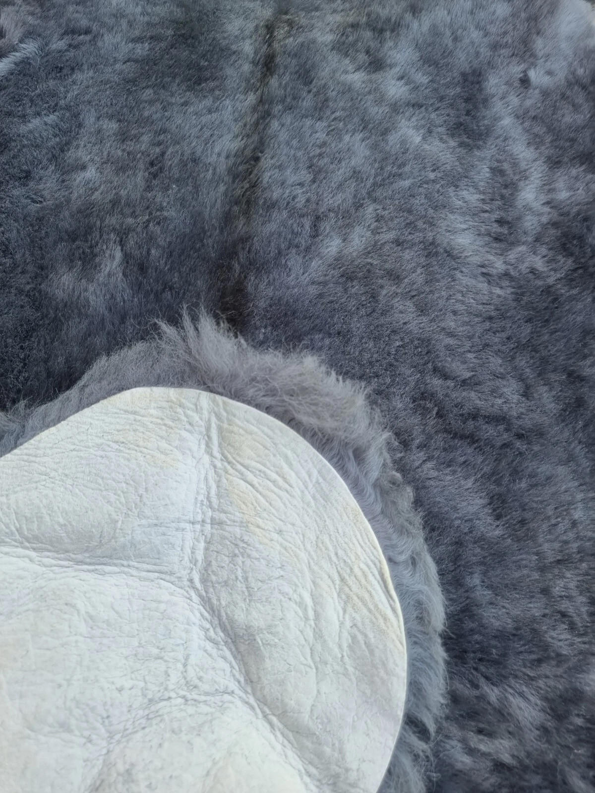 SCHAFFELL Premium Merino Lammfell Silber Grau geschoren ca. 115 cm - Silberfarben/Grau, Fell (65/115cm) - Provellus