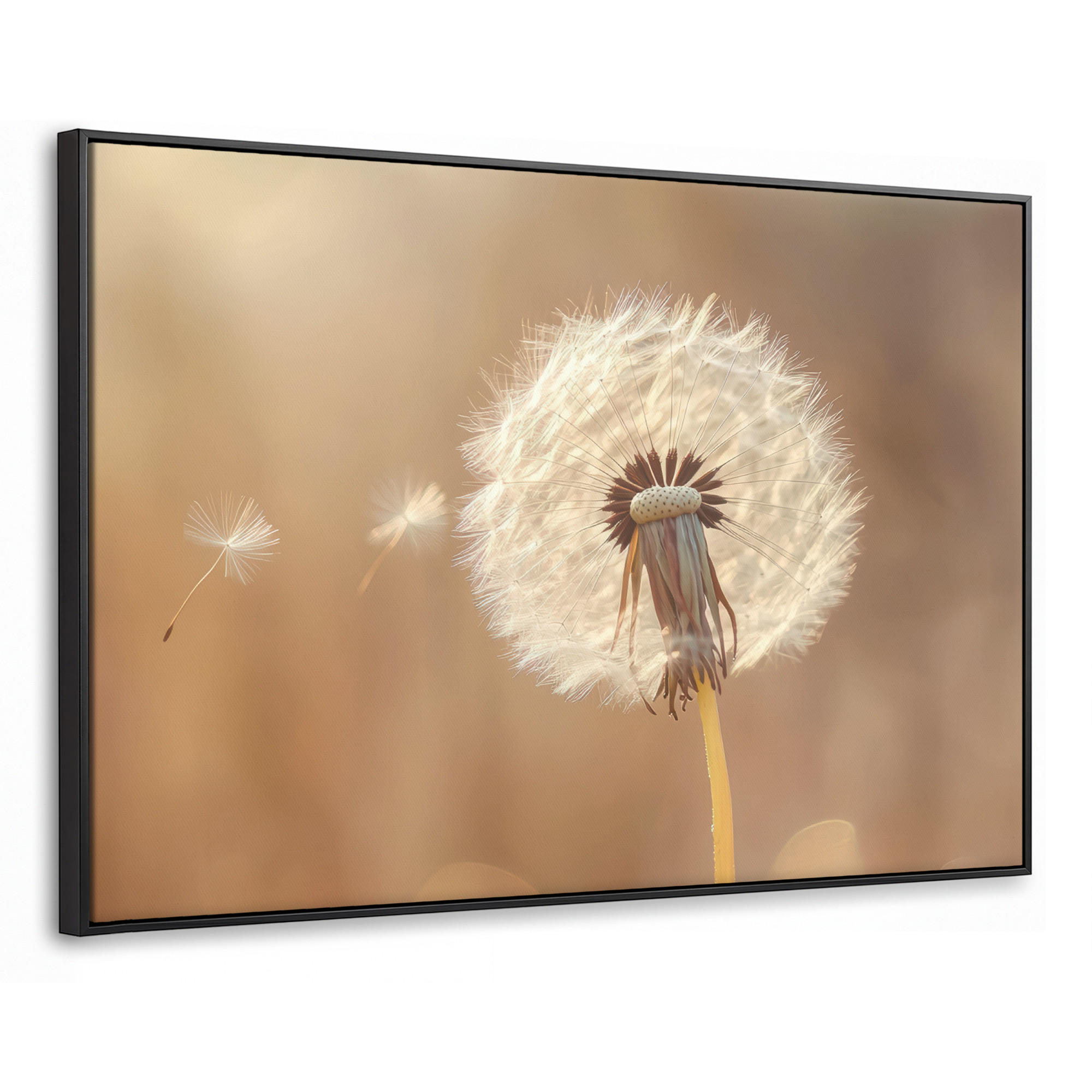 MuchoWow Leinwand Hellbraun 140x90 cm