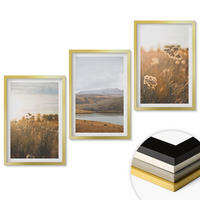 WANDBILDER 3er Set - 40x60 cm Goldrahmen - Landschaften Wiesen Berge See - Goldfarben, Kunststoff (40/60cm) - ArtPrintCave