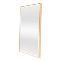 WANDSPIEGEL Novoli - Goldfarben, Glas/Kunststoff (60/4/90cm) - [en.casa]