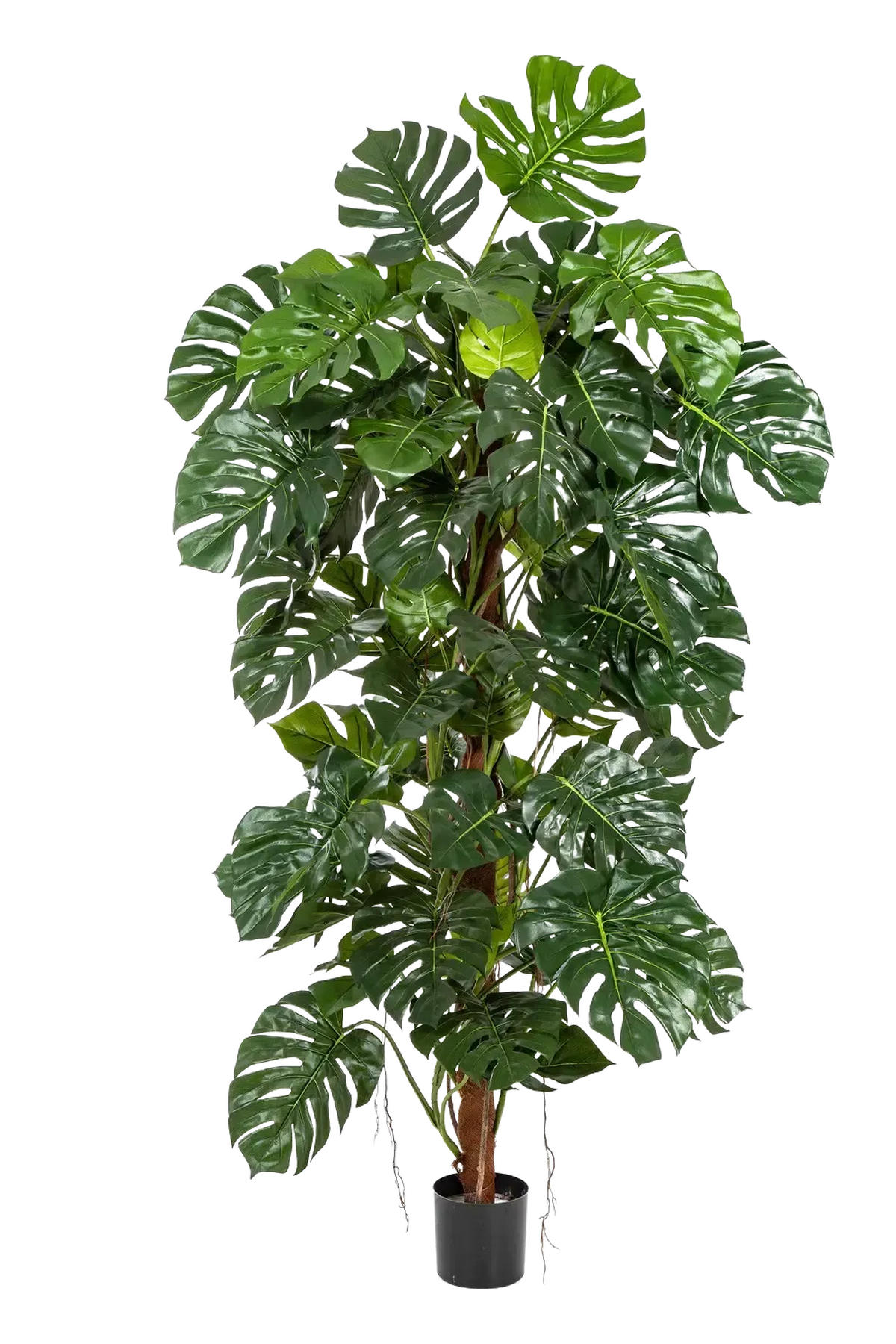 MONSTERA Künstliche Monstera - Thore 190 cm - Grün, Kunststoff (190cm) - aplanta