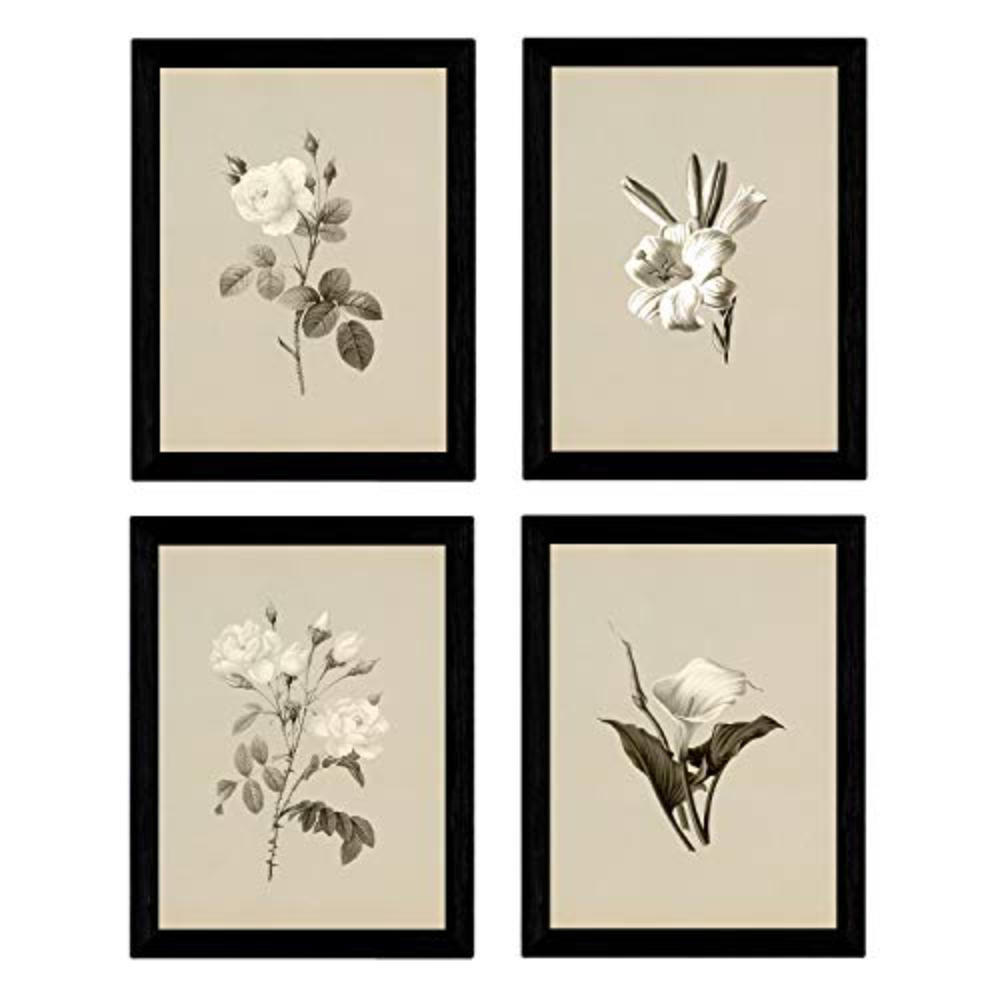 POSTER Set mit 4 Botanische Jahrgang Hintergrund helle Blumen A3 Rahmenlos - Klar, Papier (29.7/3cm) - Nacnic