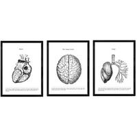 POSTER Set mit 3 Anatomie Vintage Herz Gehirn Lunge Größe A4 Rahmenlos - Klar, Papier (21/1/29.7cm) - Nacnic
