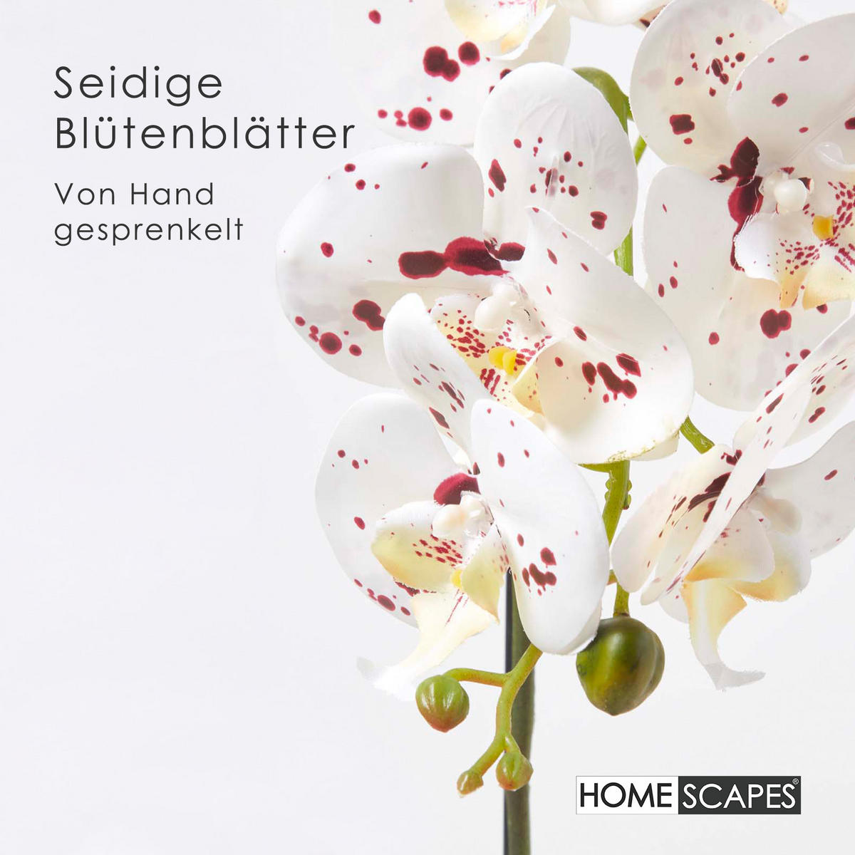 KUNSTBLUME Orchidee weiß-pink in Deko-Schale, 62 cm - Weiß, Kunststoff (62cm) - Homescapes