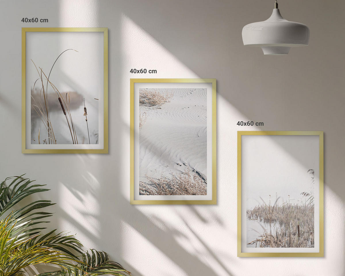 WANDBILDER 3er Set - 40x60 cm Goldrahmen - Wasserpflanzen im Sommer - Goldfarben, Kunststoff (40/60cm) - ArtPrintCave