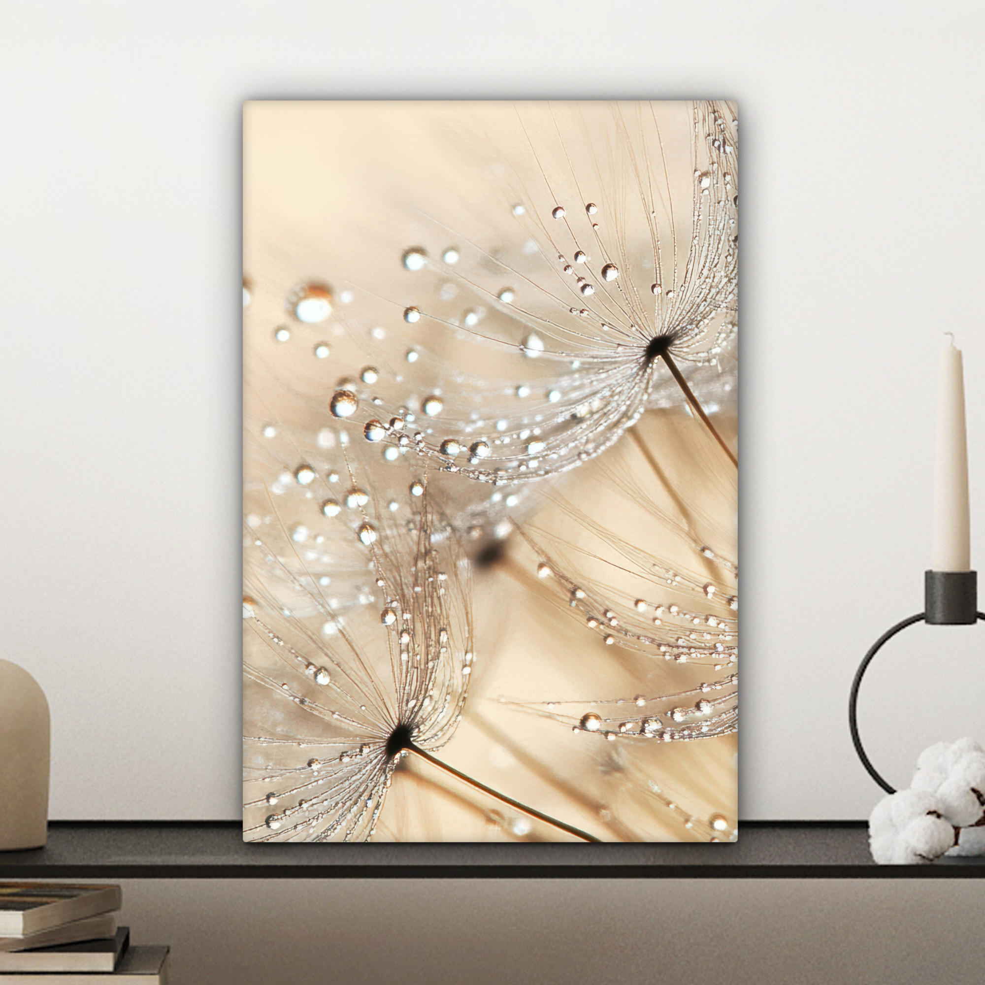 LEINWANDBILD Löwenzahn - Abstrakt - Natur - Beige 20x30 cm - Braun, Textil (20/30cm) - MuchoWow