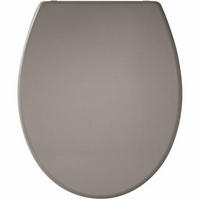TOILETTENABDECKUNG Grau - Grau, Kunststoff (38.3/4.9/46cm) - Gelco
