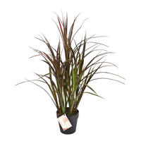 KUNSTPFLANZE Künstliches Grass - Rote Oceane 75 cm - Rot, Kunststoff (75cm) - aplanta