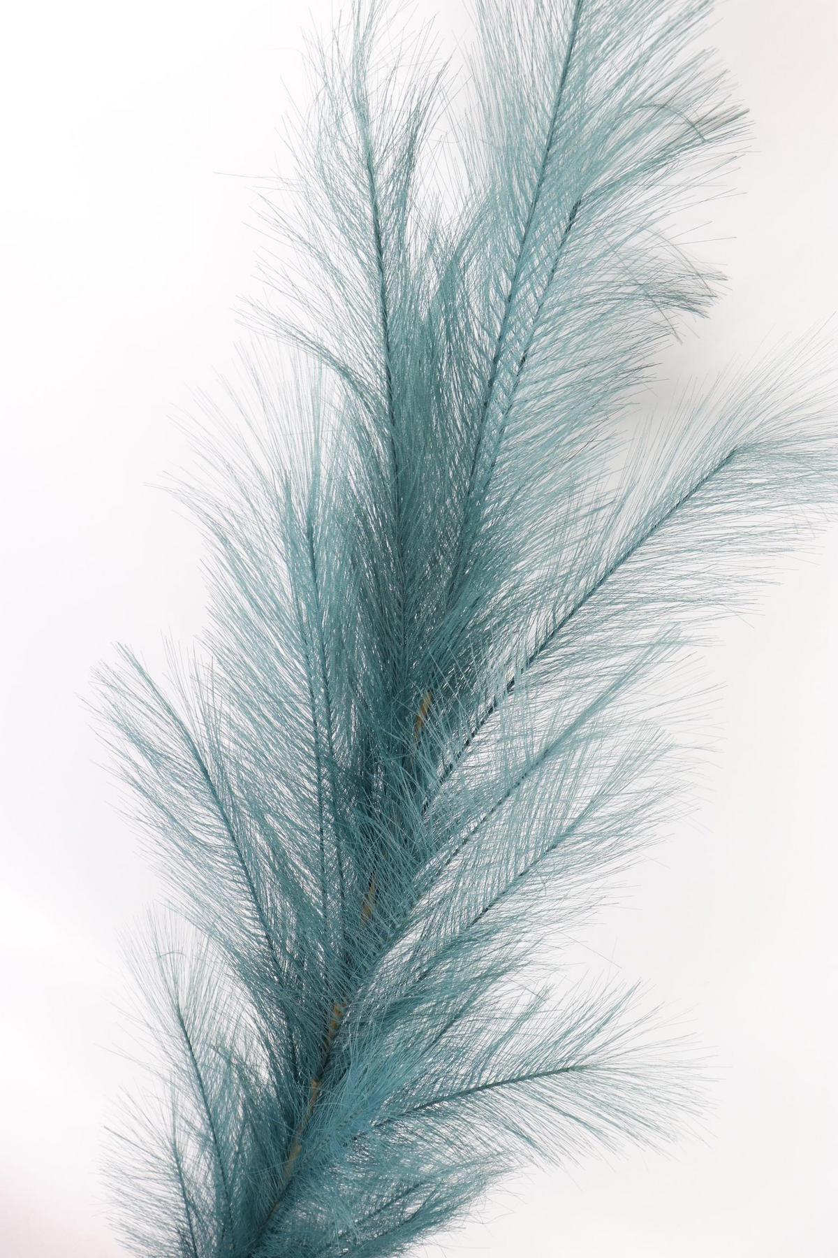 ZIERFEDER Petrol 170 cm - Blau, Textil (0.01/170/1cm) - FURNARO