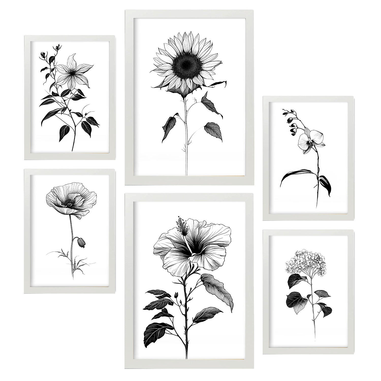 POSTER Set Mit 6 Helle Blumen Natur Und Botanikdrucke Mit Blumenmotiven In Klassischem Schwarz Und Weiß Innenarchitektur A3 & A4 Weißer Rahmen - Weiß, Papier (29/3cm) - Nacnic
