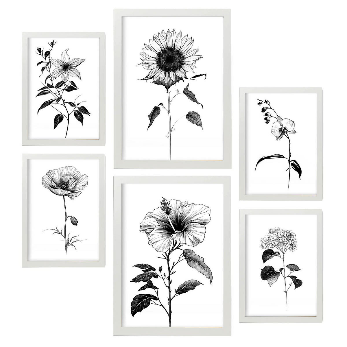 POSTER Set Mit 6 Helle Blumen Natur Und Botanikdrucke Mit Blumenmotiven In Klassischem Schwarz Und Weiß Innenarchitektur A3 & A4 Weißer Rahmen - Weiß, Papier (29/3cm) - Nacnic