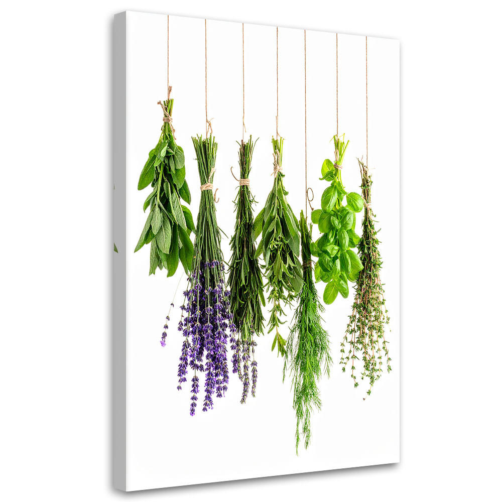 LEINWANDBILD Hängende Kräuter 80x120cm - Grün, Textil (80/120cm) - Feeby