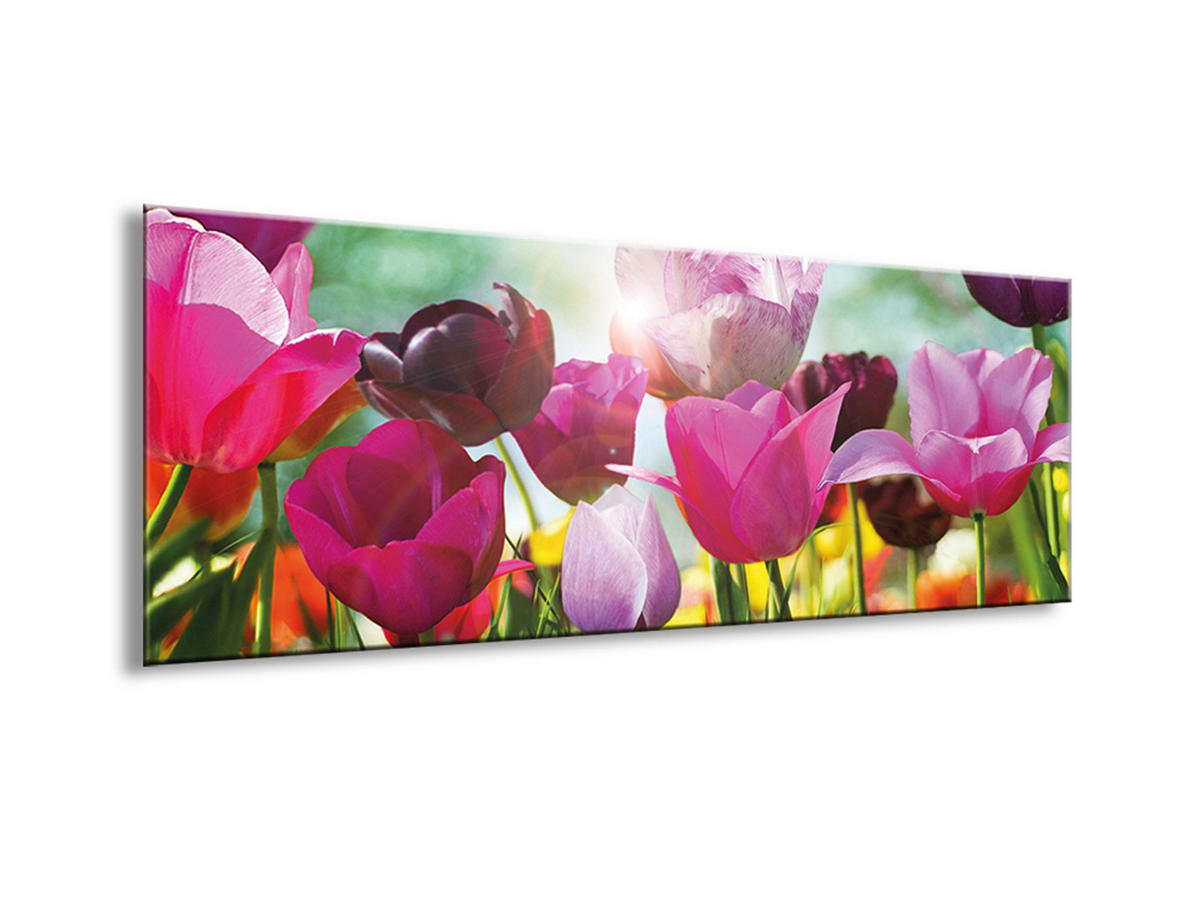 GLASBILD 80x30 cm Tulpen Bunt Pink Rot - Gelb, Glas (80/30cm) - artissimo
