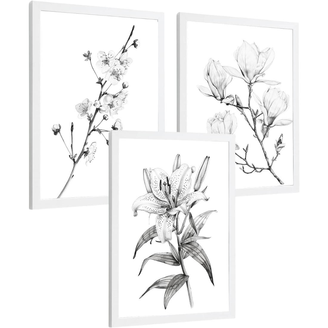 PLAKAT Sada 3 obrázků květin. Dekorativní nástěnné tisky Květiny tužkou. botanický plakát na zeď. Noridco květinové malby.Velikost A3 Bílý rám