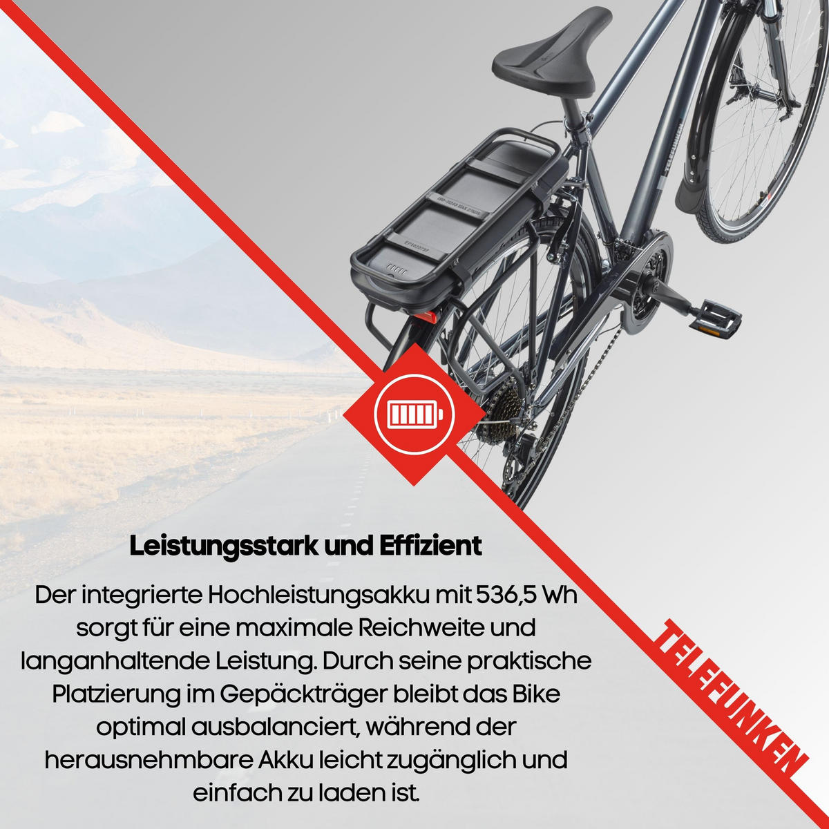 E-BIKE XT485 Trekking Elektrofahrrad 21-Gang Shimano Kettenschaltung, Pedelec, 14,5Ah, 37V Akku - Anthrazit, Metall (112cm) - Telefunken