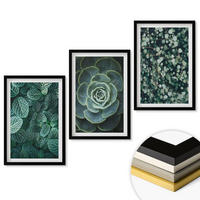WANDBILDER 3er-Set - 40x60 cm Schwarzer Rahmen - Sukkulenten - Schwarz, Kunststoff (40/60cm) - ArtPrintCave