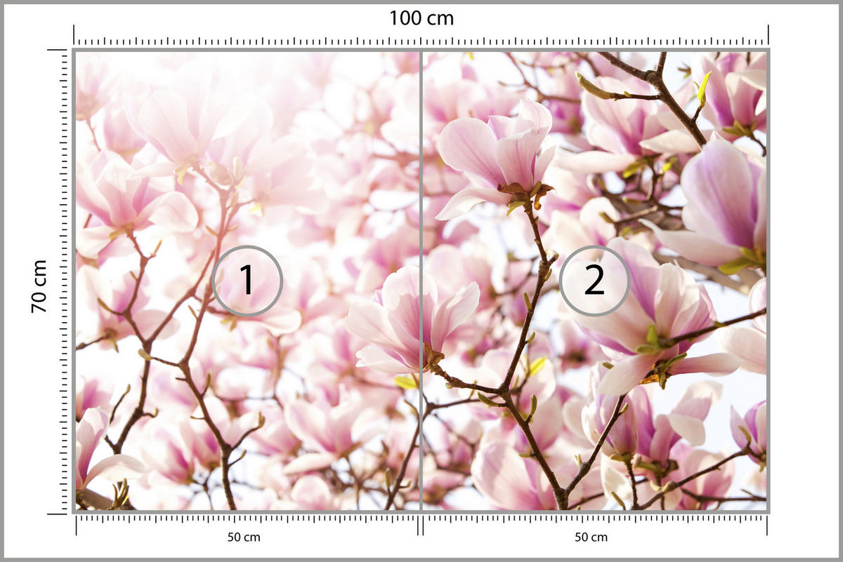 FOTOTAPETE für Schlafzimmer Rosa Magnolienblüten Floral Delikat 100x70 - Violett/Rosa, Papier (100/70cm) - Muralo