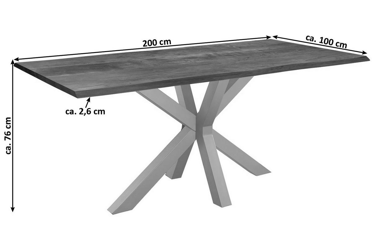 ESSTISCH SPYRO - Silberfarben/Braun, Holz/Metall (100/200/76cm) - SAM
