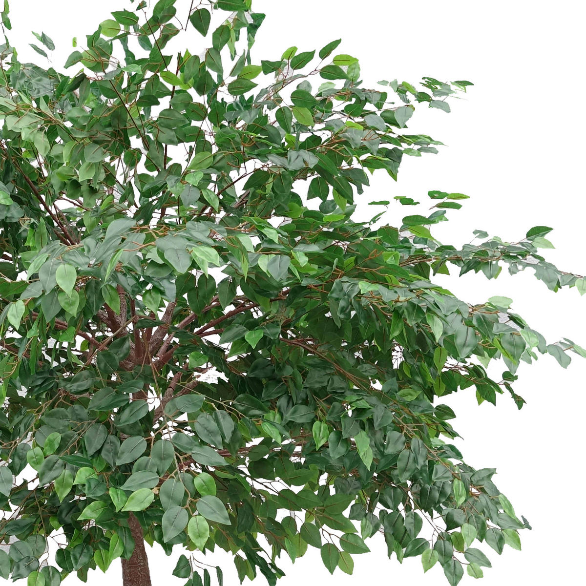 BANYAN, Künstlich - Grün, Textil (290cm) - Oviala