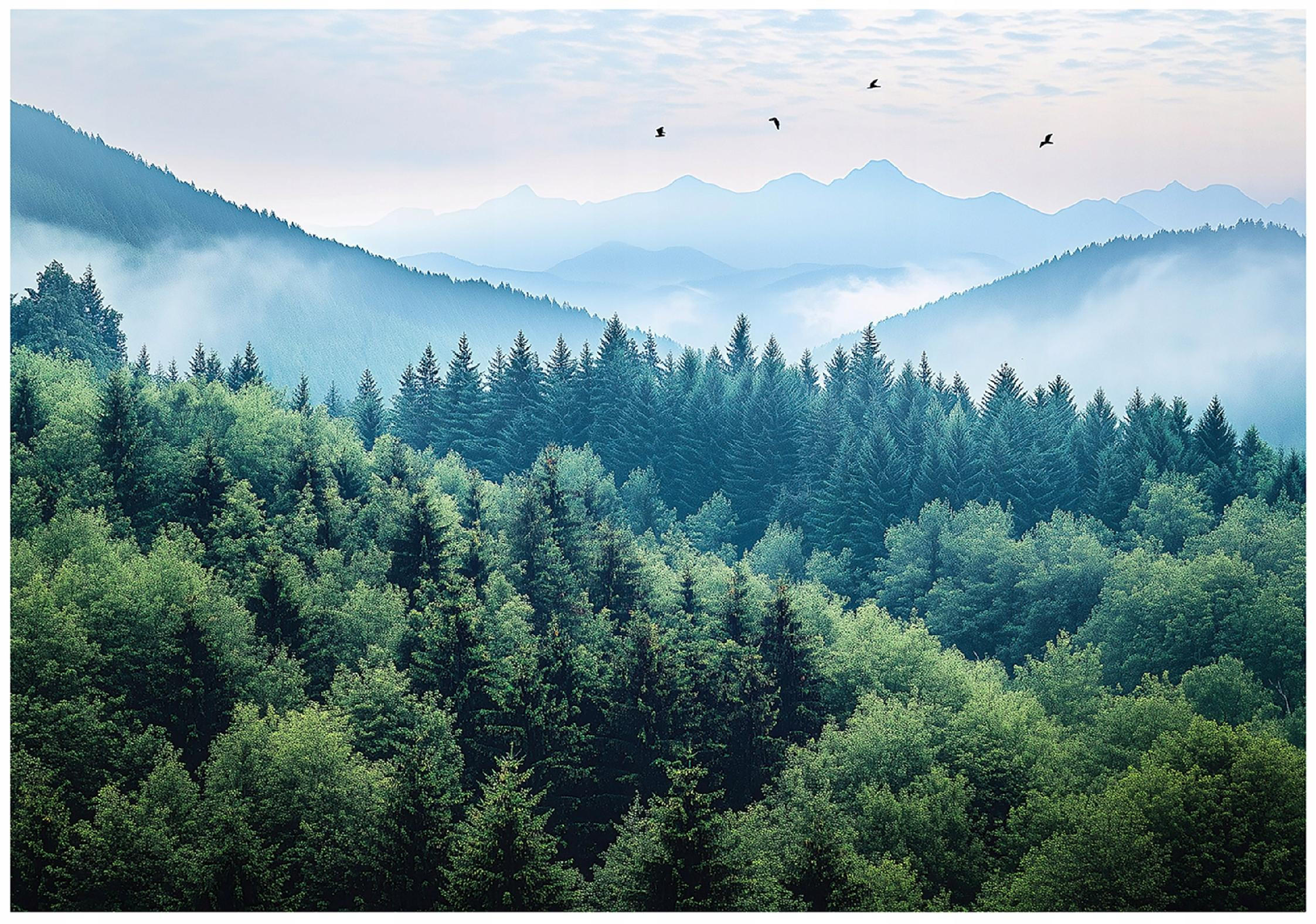 FOTOTAPETE 3D Effekt Wald im Nebel Berge 350x250 - Multicolor, Papier (350/250cm) - Wallarena