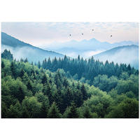 FOTOTAPETE 3D Effekt Wald im Nebel Berge 350x250 - Multicolor, Papier (350/250cm) - Wallarena