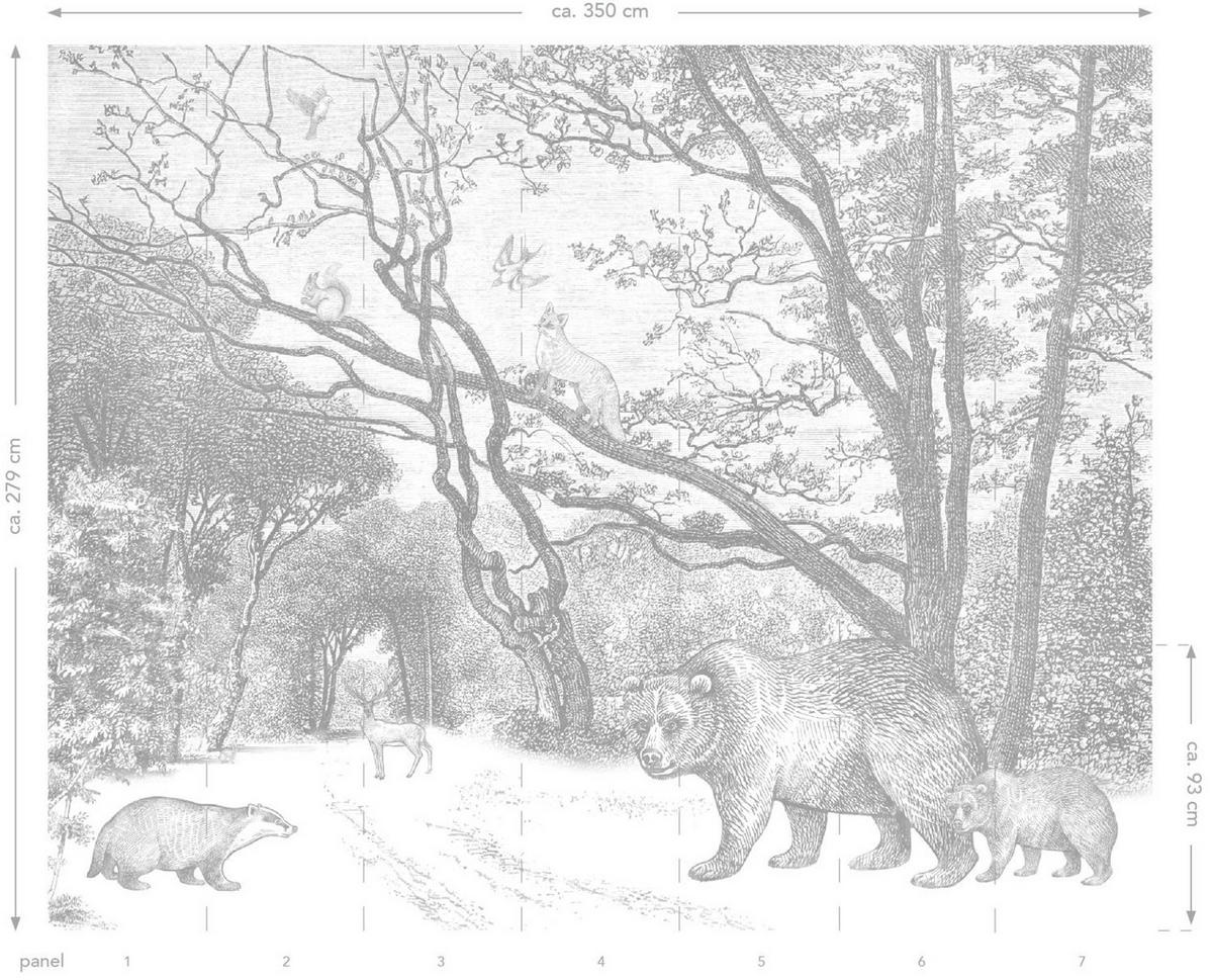 FOTOTAPETE Wald mit Waldtieren 350 x 279 cm - Schwarz, Papier (350/279cm) - ESTAhome