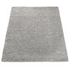 HOCHFLORTEPPICH 160/220 cm Sky 250 - Grau, Textil (160/220cm) - Paco Home