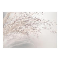 FOTOTAPETE Wiesengras Close Up 288/190 cm - Eichefarben, Papier (288/190cm) - Bilderwelten