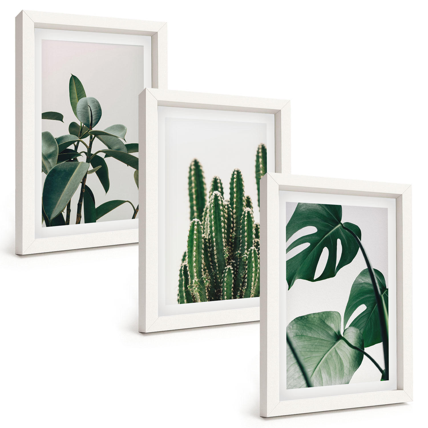BILDER SET 3er Set - 20x30 cm Weißer Rahmen - Tropische ästhetische Pflanzen - Weiß, Kunststoff (20/30cm) - TULUP