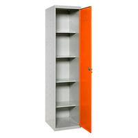 PUTZMITTELSCHRANK Amego HxBxT 180x40x40 cm 4x Fachboden Orange-Grau - Orange, Metall (40/180/40cm) - PROREGAL