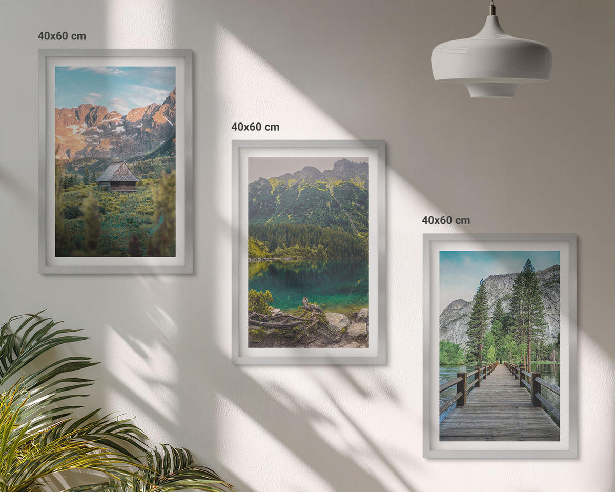 BILDER SET 3er Set - 40x60 cm Silberner Rahmen - Berglandschaft See Brücke - Silberfarben, Kunststoff (40/60cm) - TULUP
