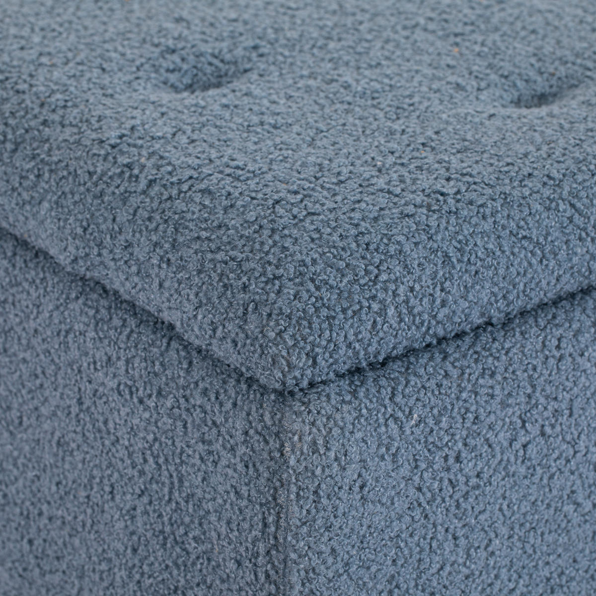 SITZBANK mit Stauraum, Bettbank, Polsterbank mit Klappdeckel, Samt, Blau - Blau, Kunststoff (38/45/95cm) - HOMCOM