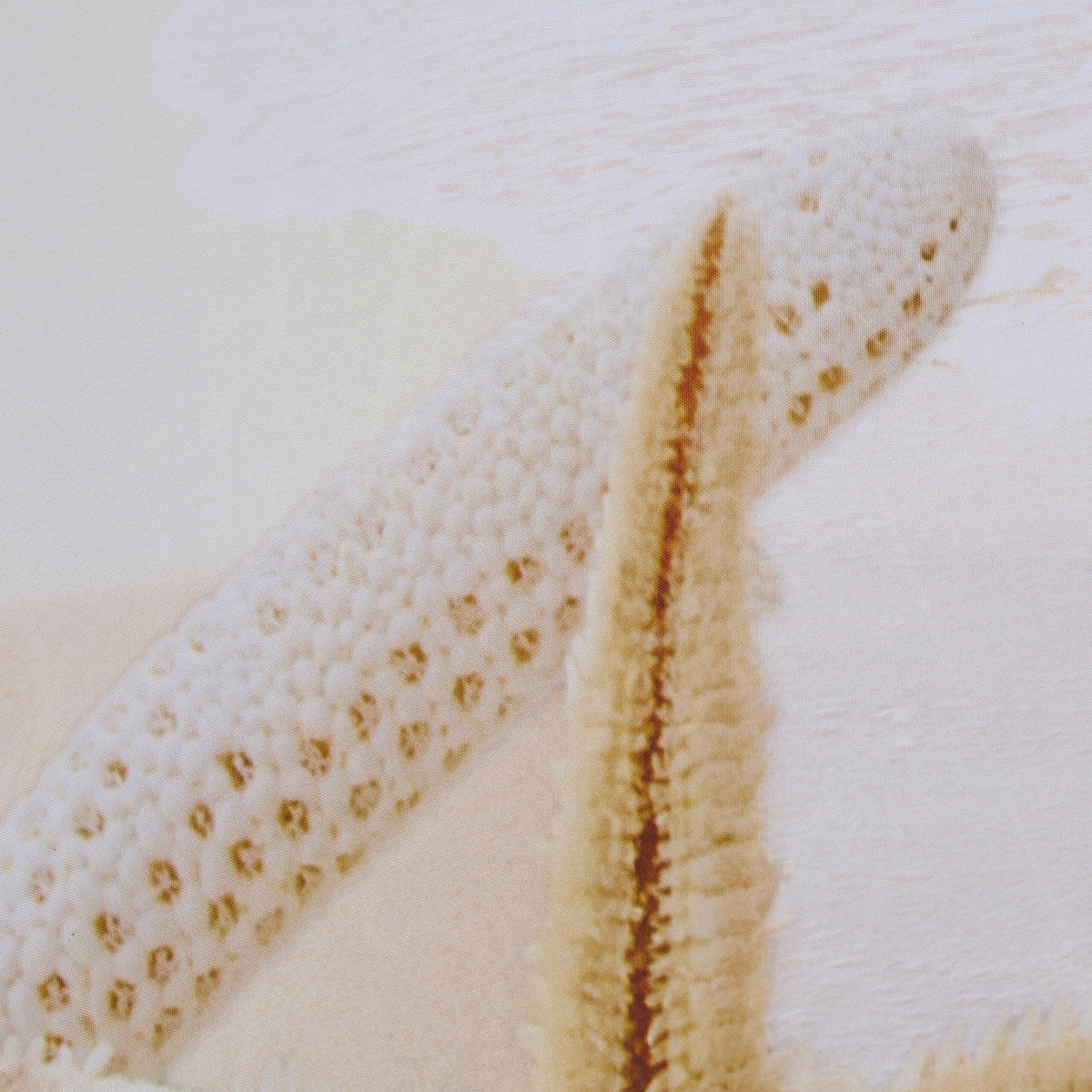 DUSCHVORHANG - Multicolor, Textil (180/0.1cm) - Relaxdays