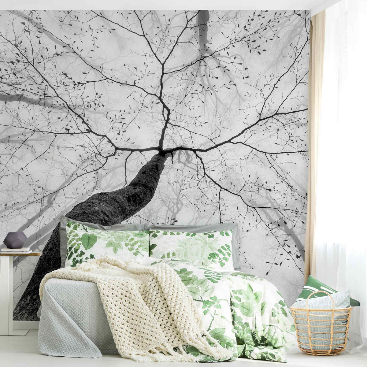 FOTOTAPETE Baumkronen im Himmel 240/240 cm - Schwarz, Papier (240/240cm) - Bilderwelten