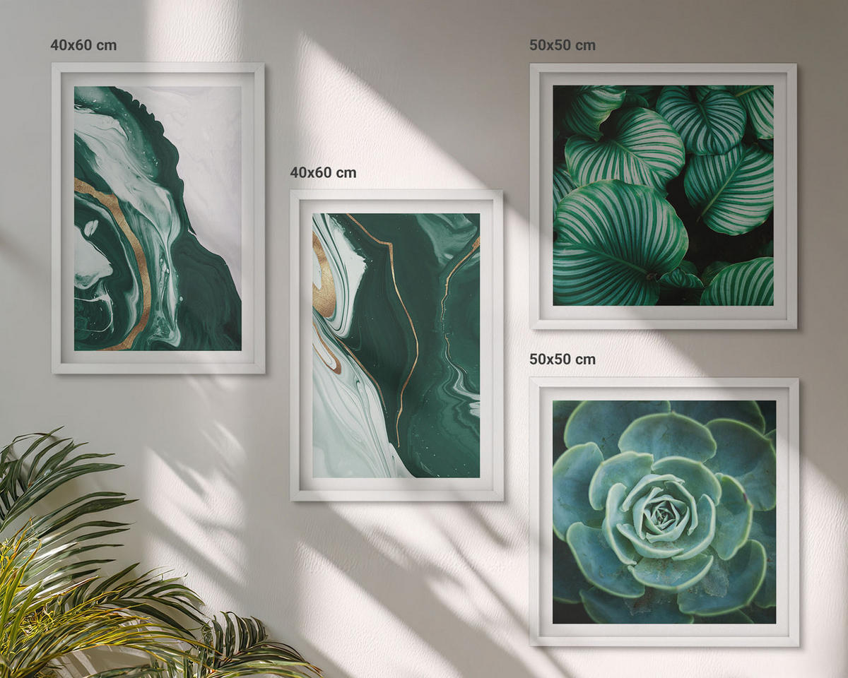 BILDER SET 4er Set - 50x50 cm & 40x60 cm Weißer Rahmen - Abstrakte Muster von Sukkulentenblättern - Weiß, Kunststoff (50/50cm) - TULUP