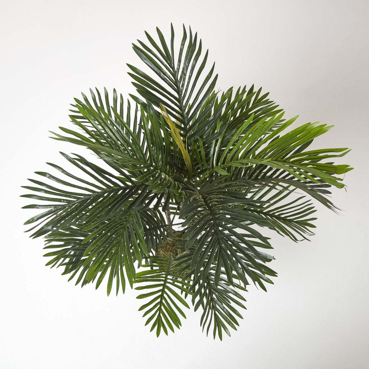 KUNSTPALME Areca, 120 cm - Grün, Kunststoff (120cm) - Homescapes
