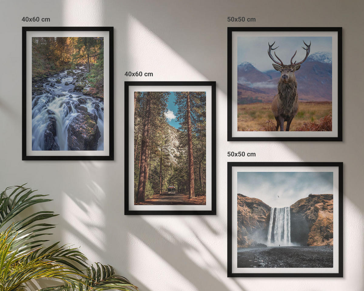 BILDER SET 4er Set - 50x50 cm & 40x60 cm Schwarzer Rahmen - Wasserfall Wald Berge Hirsch Natur - Schwarz, Kunststoff (50/50cm) - TULUP