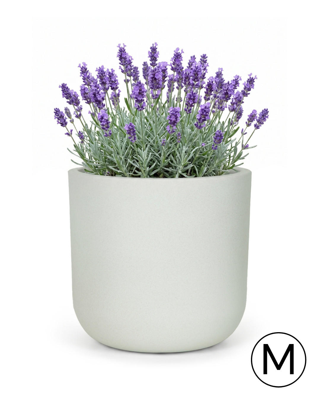 Mazovia KVĚTINÁČ bílý Ecru ELEGANTE M 36x36x35 cm