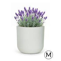 BLUMENTOPF Weiß Ecru ELEGANTE M 36x36x35 cm - Hellgrau, Kunststoff (35cm) - Mazovia
