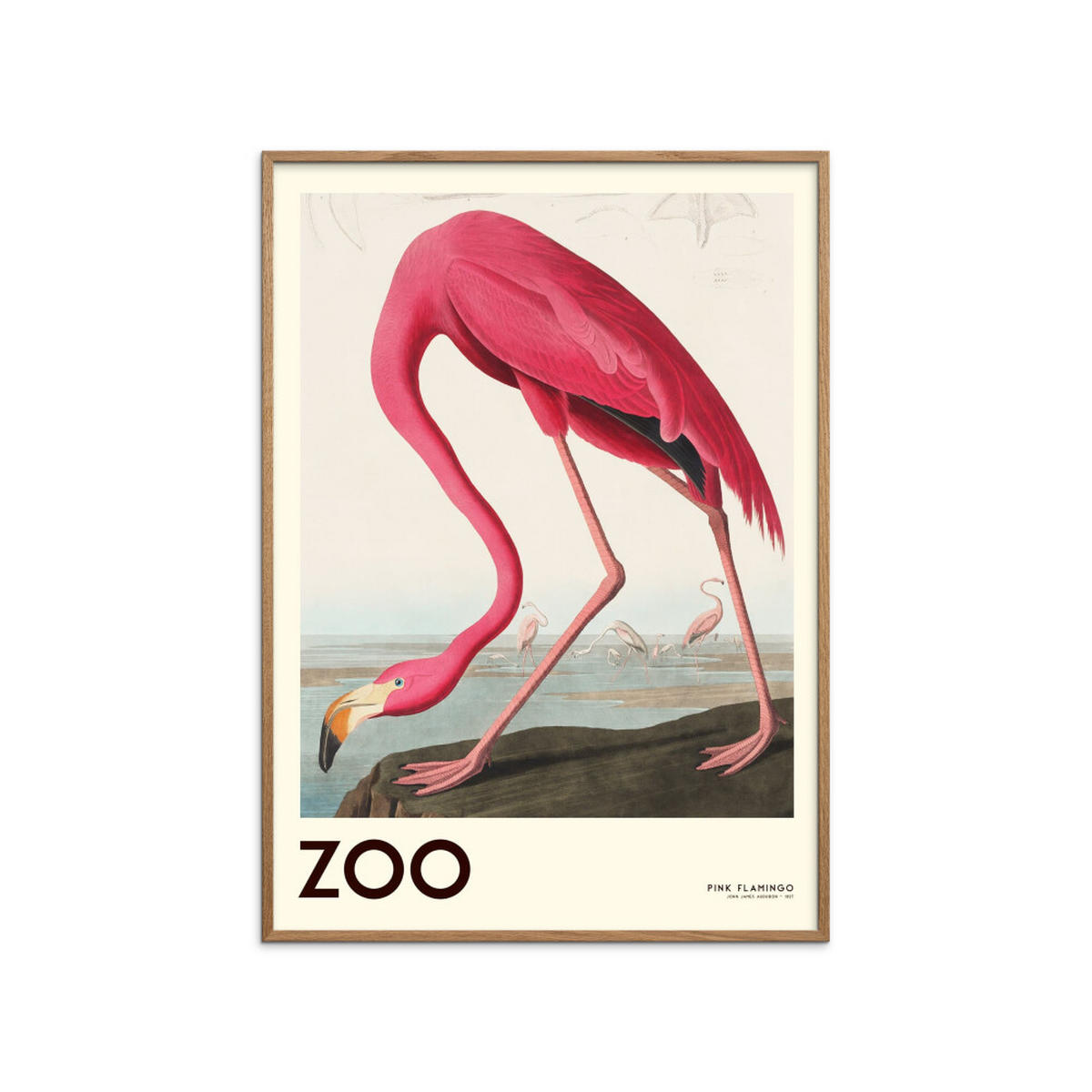 POSTER mit Rahmen A.P. Atelier - The Zoo Collection — Pink Flamingo — Edt. 001 - Pink/Eichefarben, Holz/Papier (50/70cm) - Poster&Frame